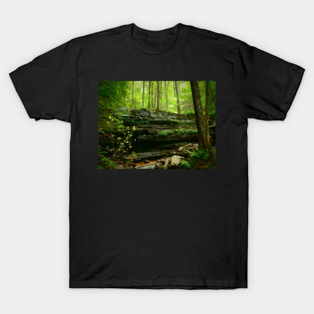 Little Waterfall T-Shirt by TrapperWeasel